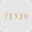 tenzo-jewellery.com