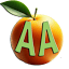 aatampa-area.org