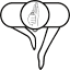 asvc.de