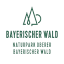 bayerischer-wald-ganz-oben.de