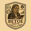 betoe-audits-consulting.com