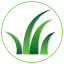 choosegreenergrass.com