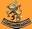 defensieuniformprivemuseum.nl