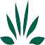 herbaria.com