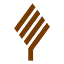parsneopan.com