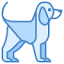 petpitari.com