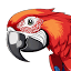 thebirdshoponline.com