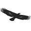 altair-consulting.com