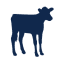 calfandheifer.org