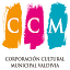ccm-valdivia.cl