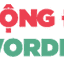 congdongwordpress.com