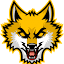 csgohowl.com