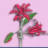 glowhiteflorist.com
