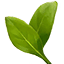 heatngrow.com.au