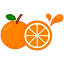 ijoose.com
