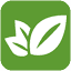 konvit.com