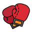 motorcityboxingclub.com