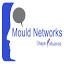 mouldnetworks.com
