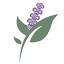sagetelehealth.com