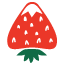 strawberryhotsprings.com