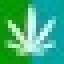 1000seeds.info