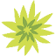allensflowers.com