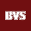 bestvetsolutions.com