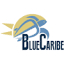 bluecaribetours.com