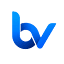 bluevenn.com