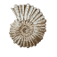 casillaspetro.com