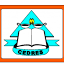 cedres.bf