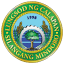 cityofcalapan.gov.ph