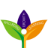 cnwllearning.org