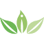 hawaiivein.com