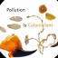 maxliboiron.com