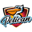 pelican.by