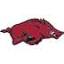 razorbackfoundation.com