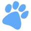 all4pets.co.il