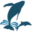 dolphinsafari.com