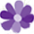 floriststoronto.ca