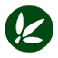 greenloops.in