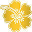 hawaiian-tropic.co.uk