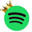spotifyapk.co