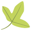 tela-botanica.org