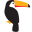 toucan.com.au