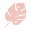 whileimyoung.com