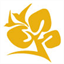 centrovirgendelavictoria.com