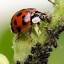 gardenbio.ro