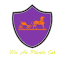 hoianprivatecar.com