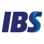 ibs-energy.com.br